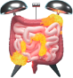Inflamed intestine illustration with an alarm bell.